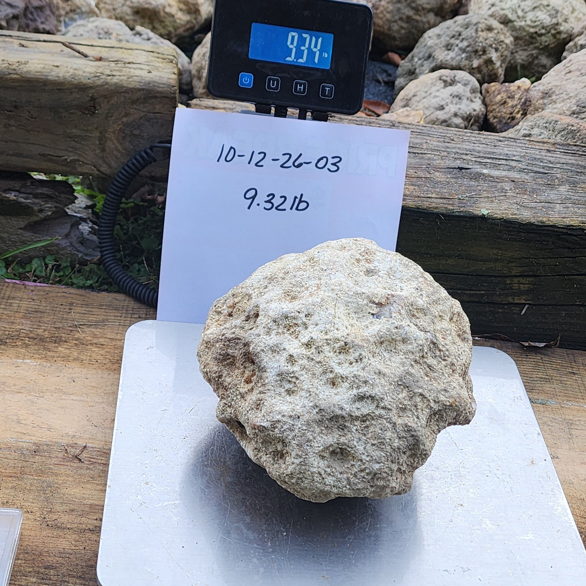 9.34 LB Whole Unopened Kentucky Geode [10-12-26-03]