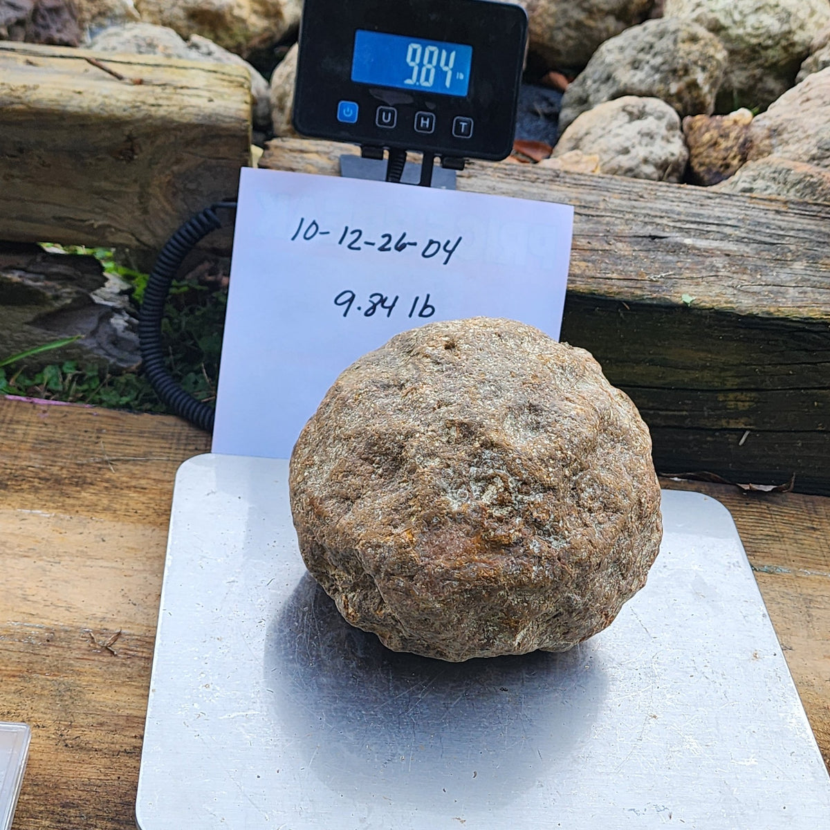 9.84 LB Whole Unopened Kentucky Geode [10-12-26-04]