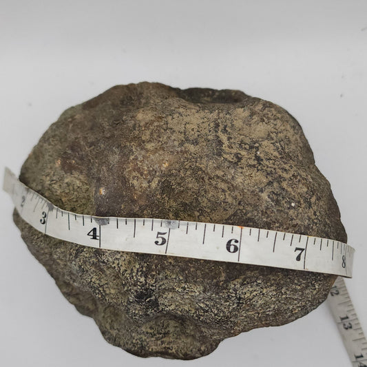 7.14 LB Whole Unopened Kentucky Geode [10-12-26-05]