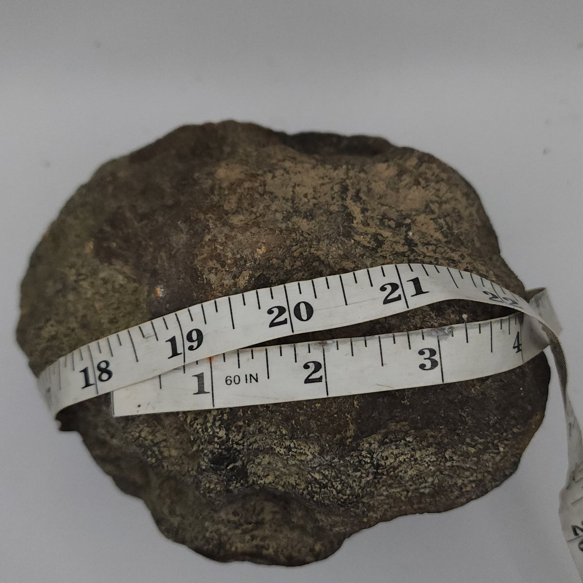 7.14 LB Whole Unopened Kentucky Geode [10-12-26-05]