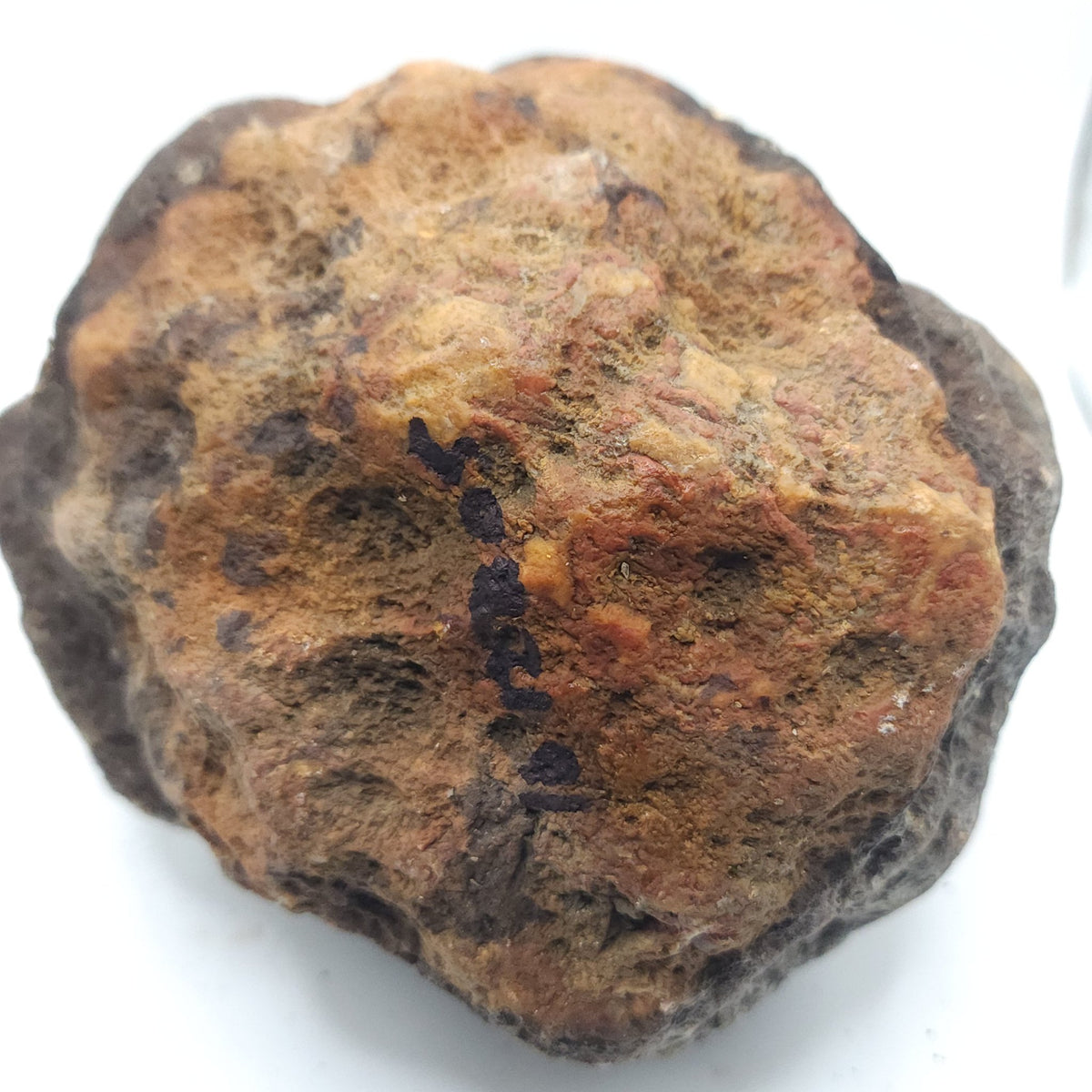 7.14 LB Whole Unopened Kentucky Geode [10-12-26-05]