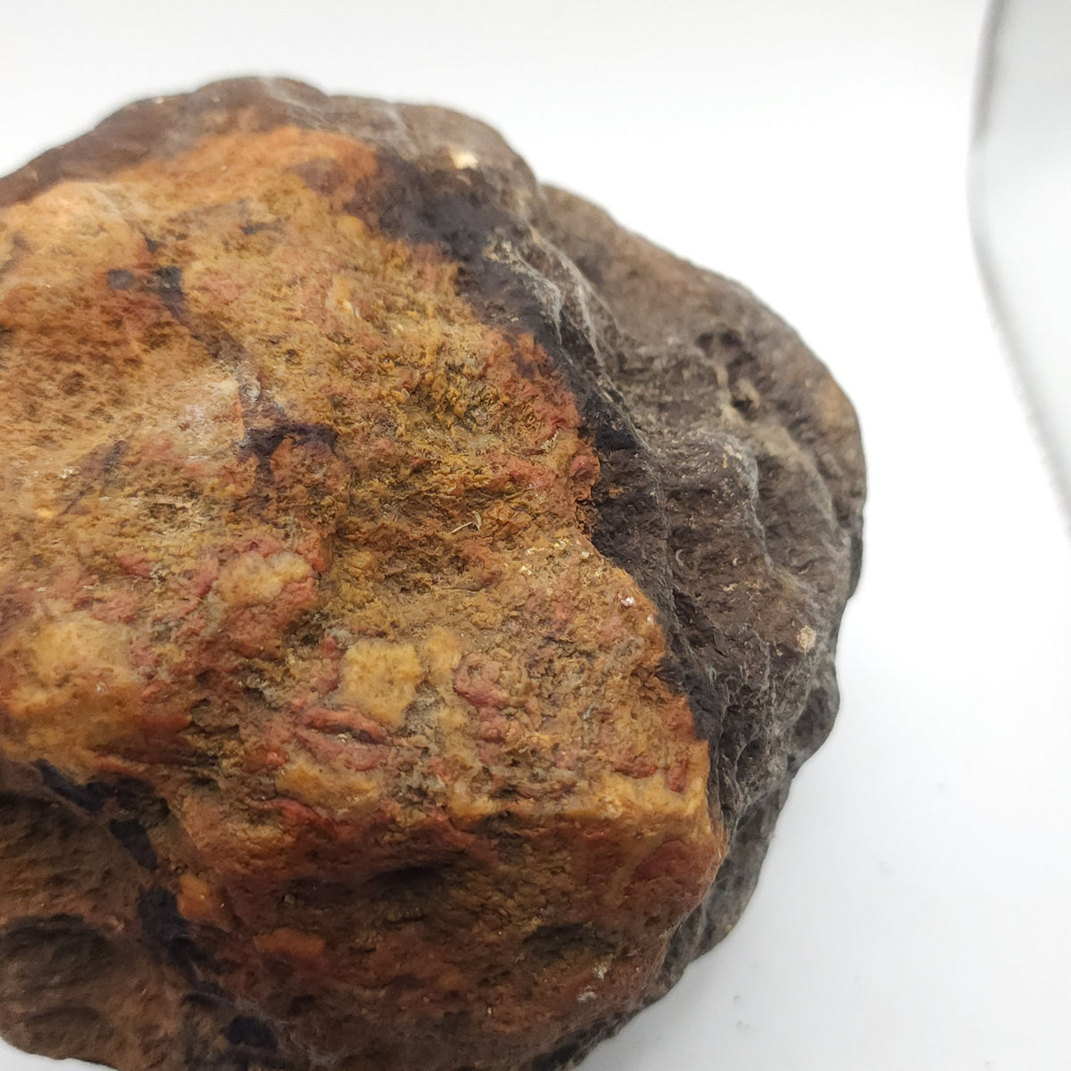 7.14 LB Whole Unopened Kentucky Geode [10-12-26-05]