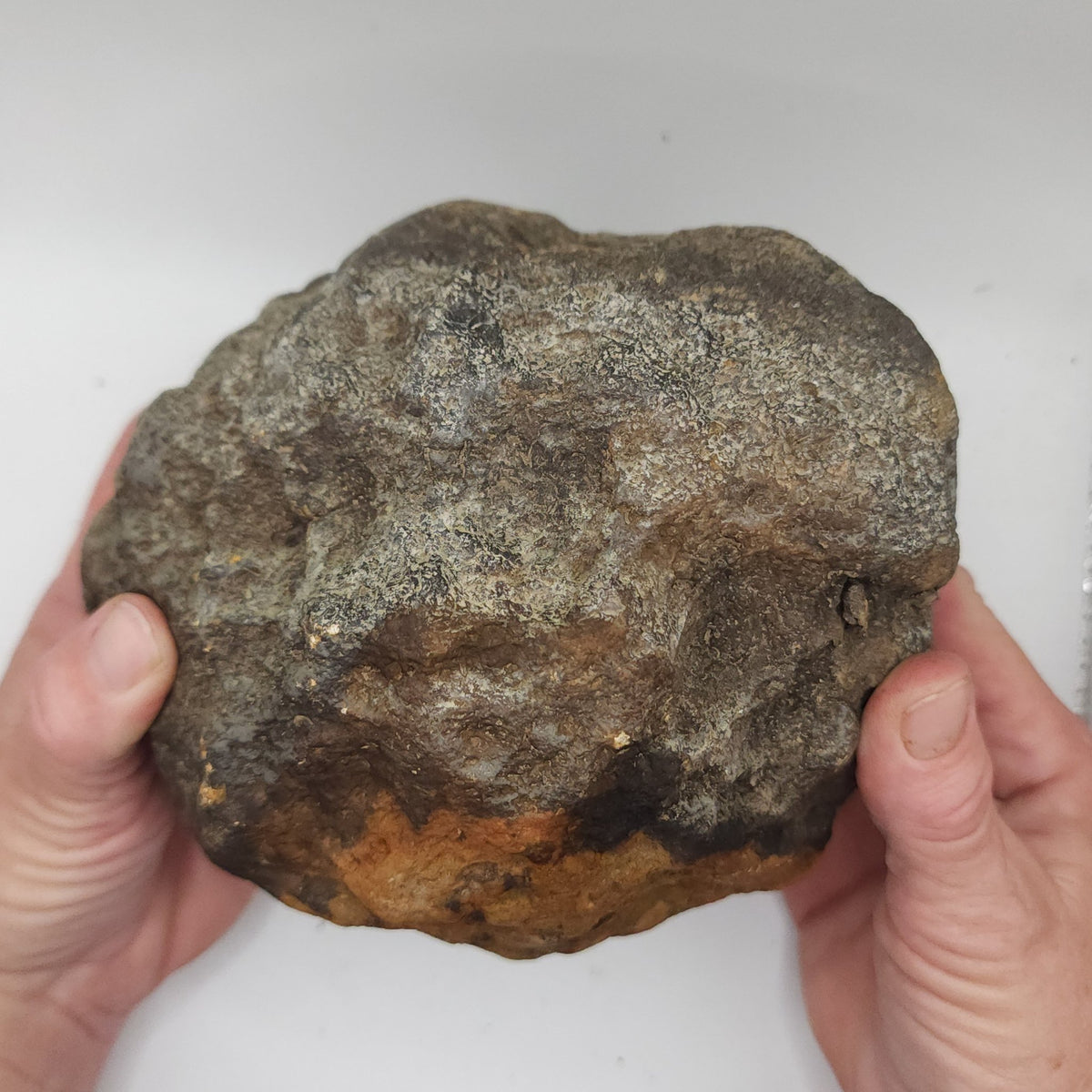 7.14 LB Whole Unopened Kentucky Geode [10-12-26-05]