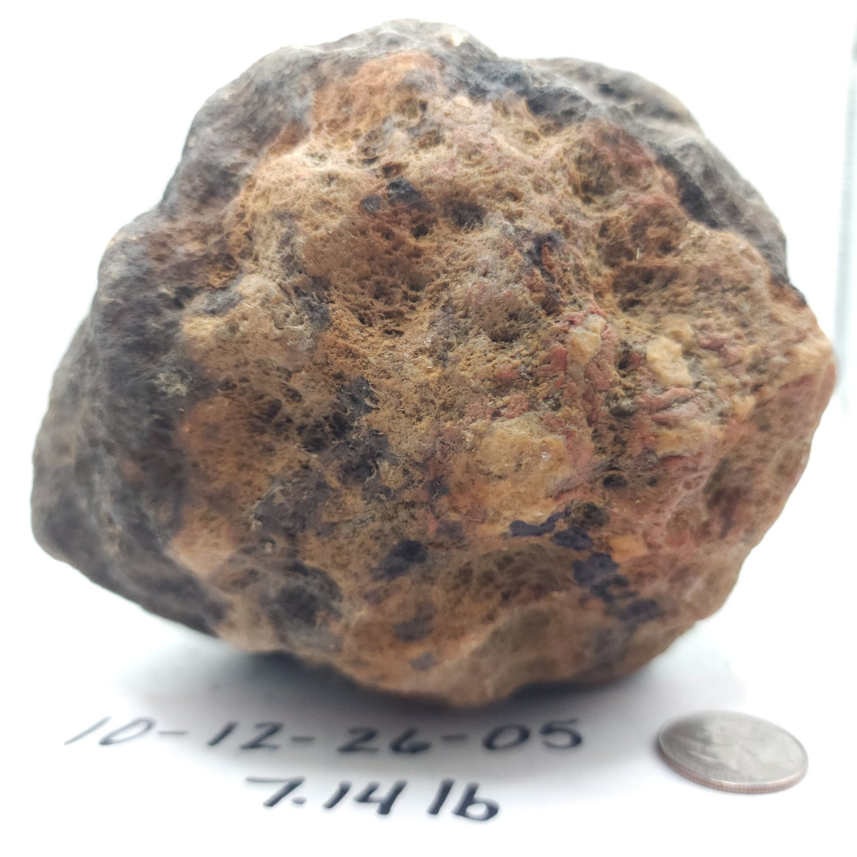 7.14 LB Whole Unopened Kentucky Geode [10-12-26-05]