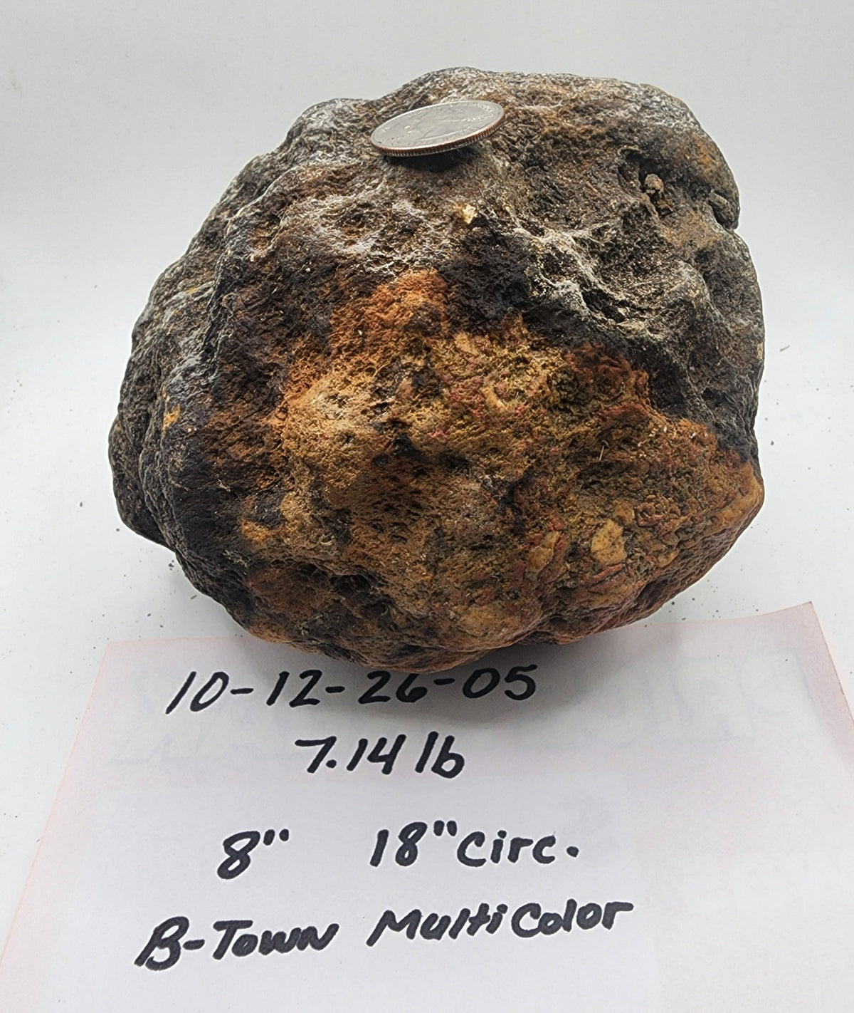 7.14 LB Whole Unopened Kentucky Geode [10-12-26-05]
