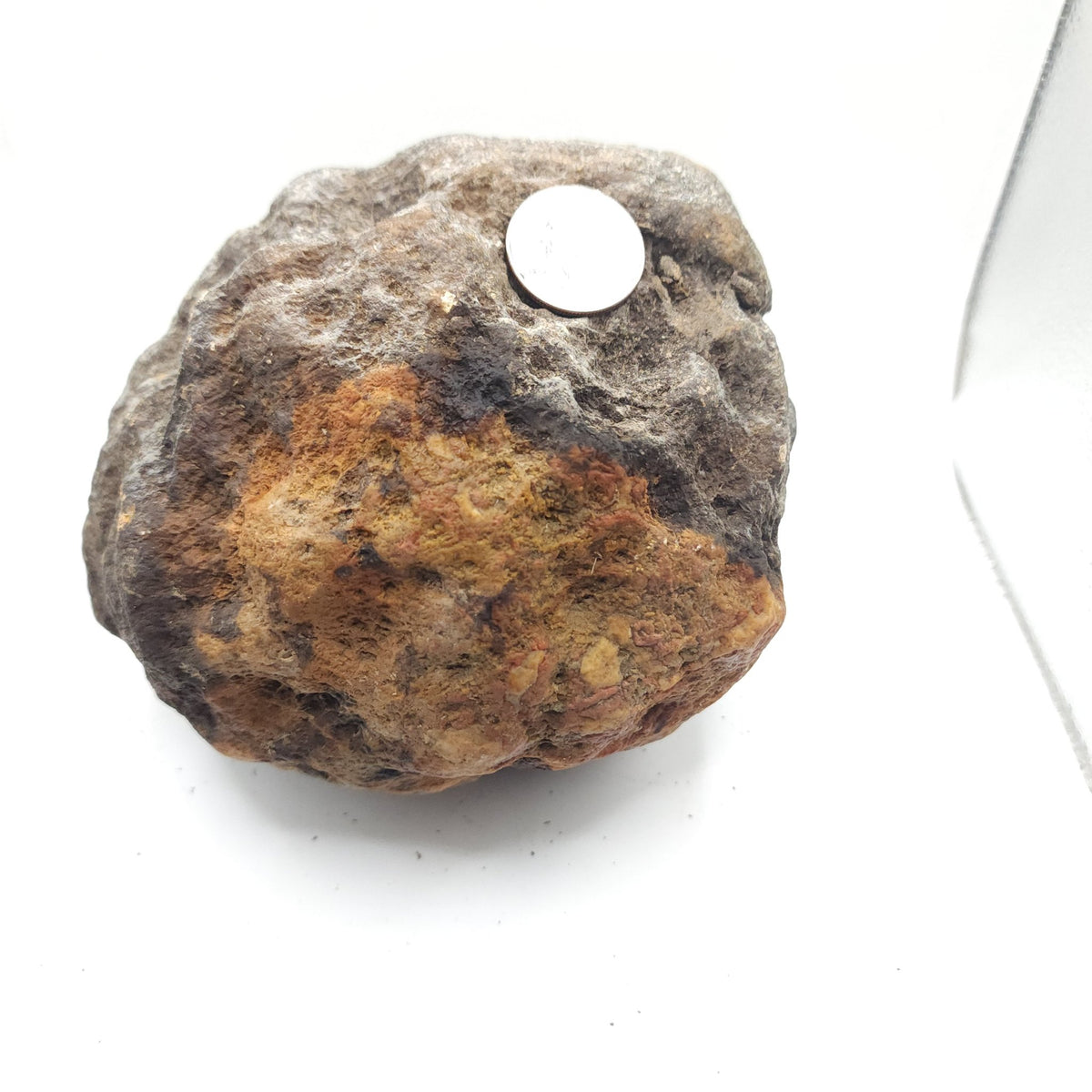7.14 LB Whole Unopened Kentucky Geode [10-12-26-05]