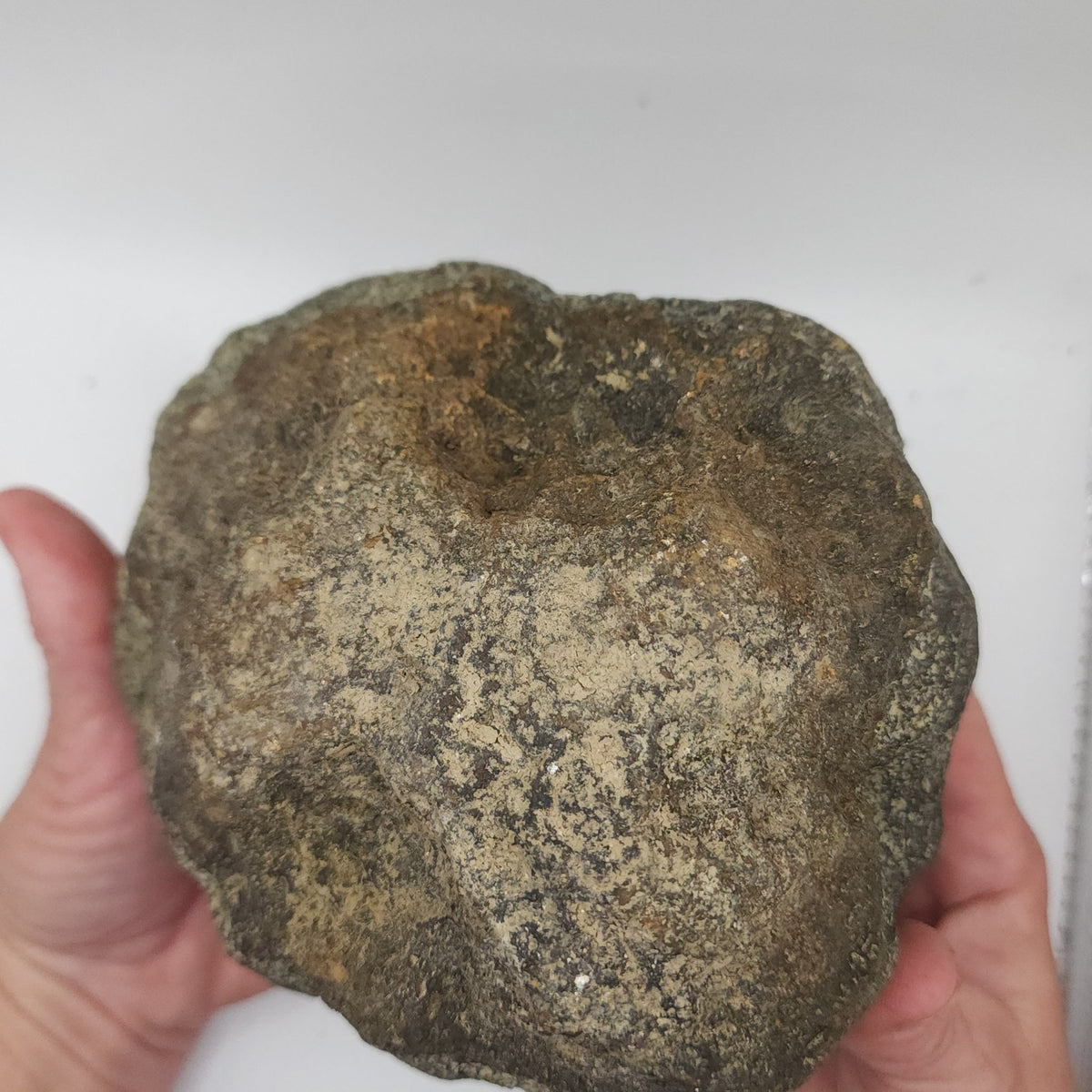 7.14 LB Whole Unopened Kentucky Geode [10-12-26-05]