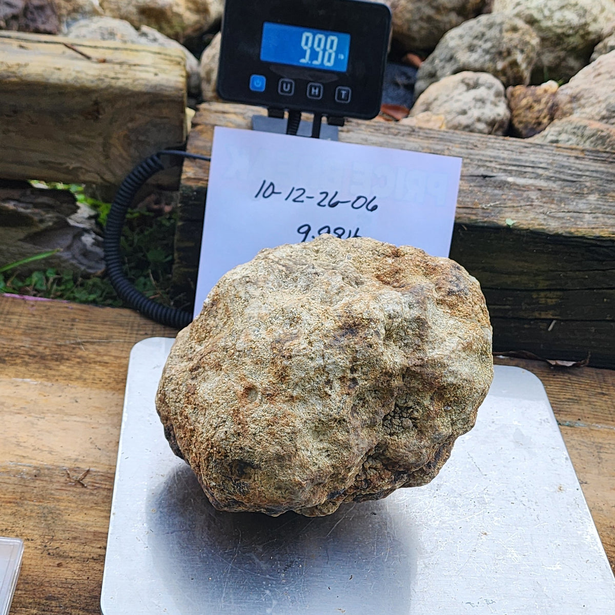 9.98 LB Whole Unopened Kentucky Geode [10-12-26-06]