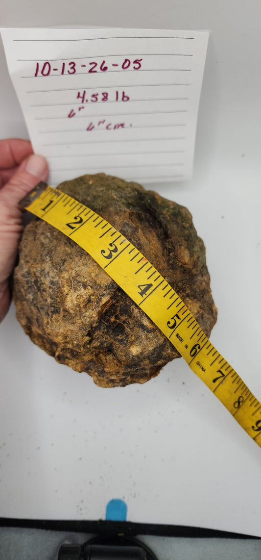 Large Kentucky Geode – Whole Unopened Break Your Own Geode – 4.58 LB [10-13-26-05]