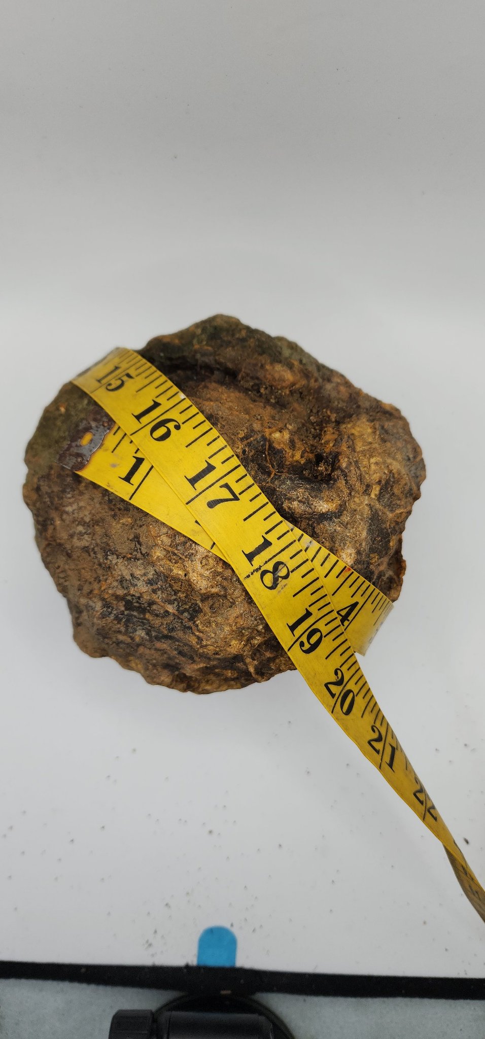 Large Kentucky Geode – Whole Unopened Break Your Own Geode – 4.58 LB [10-13-26-05]