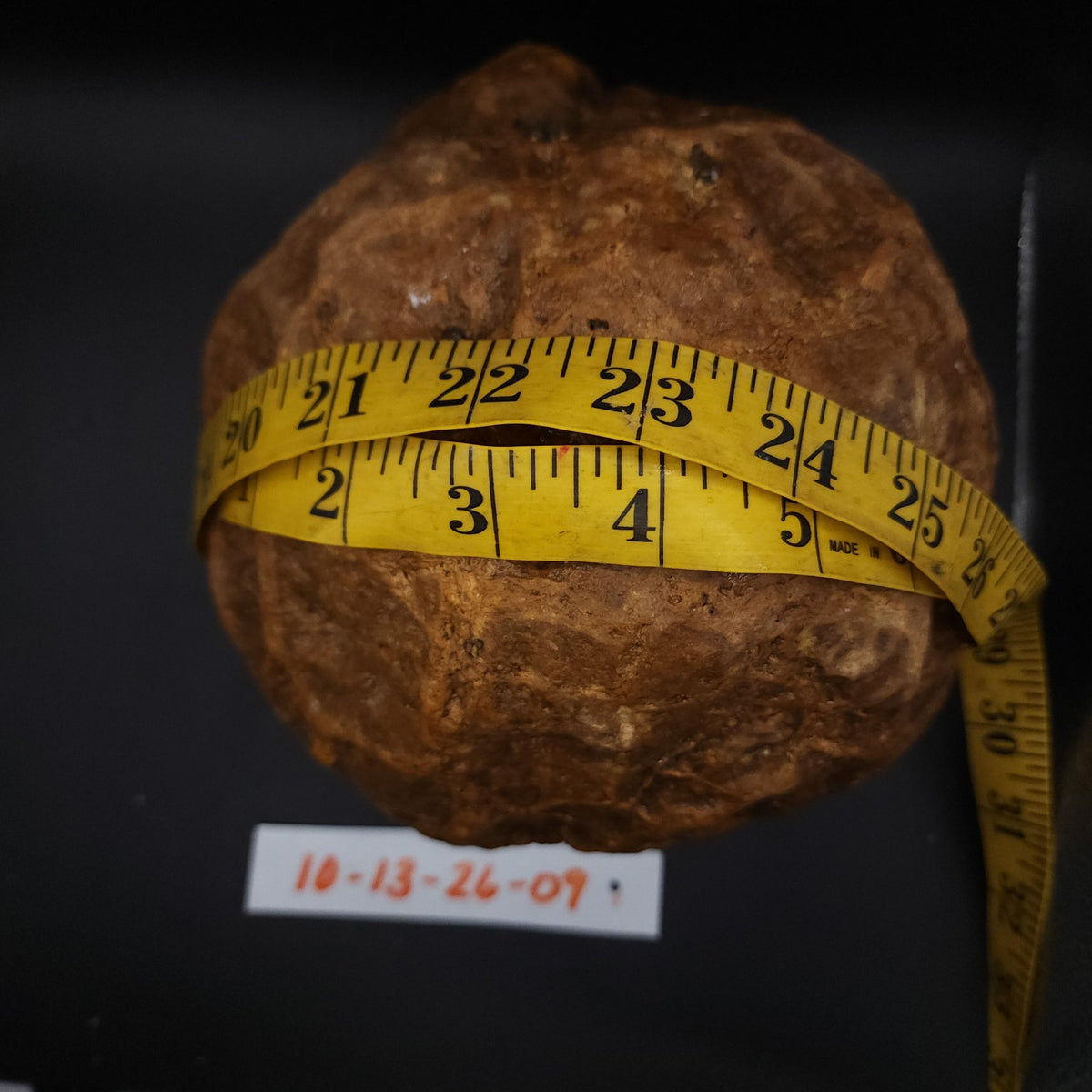 10-13-26-09 geode with tape measure showing circumference