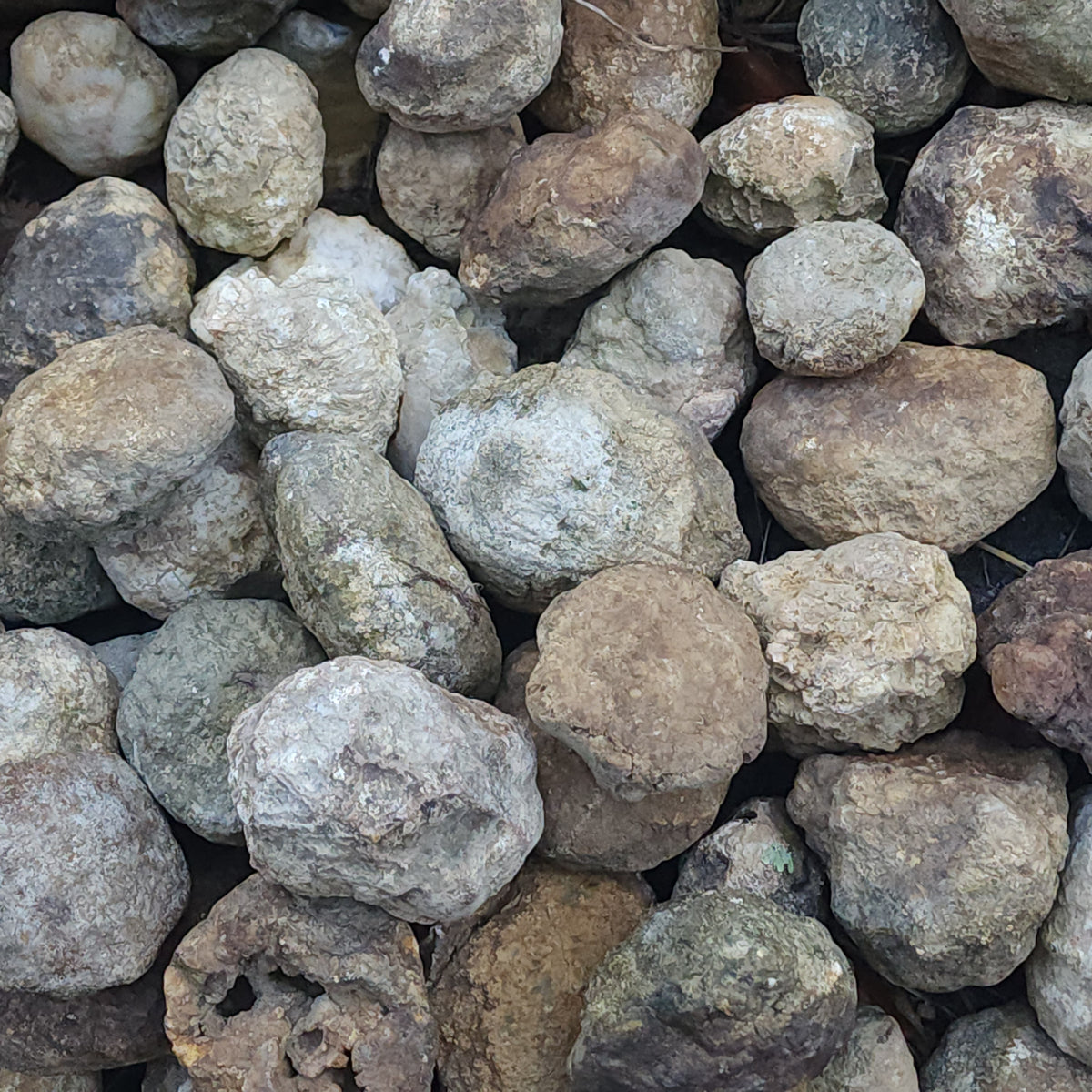 Medium Kentucky Geode — Buy 2 Get 1 FREE