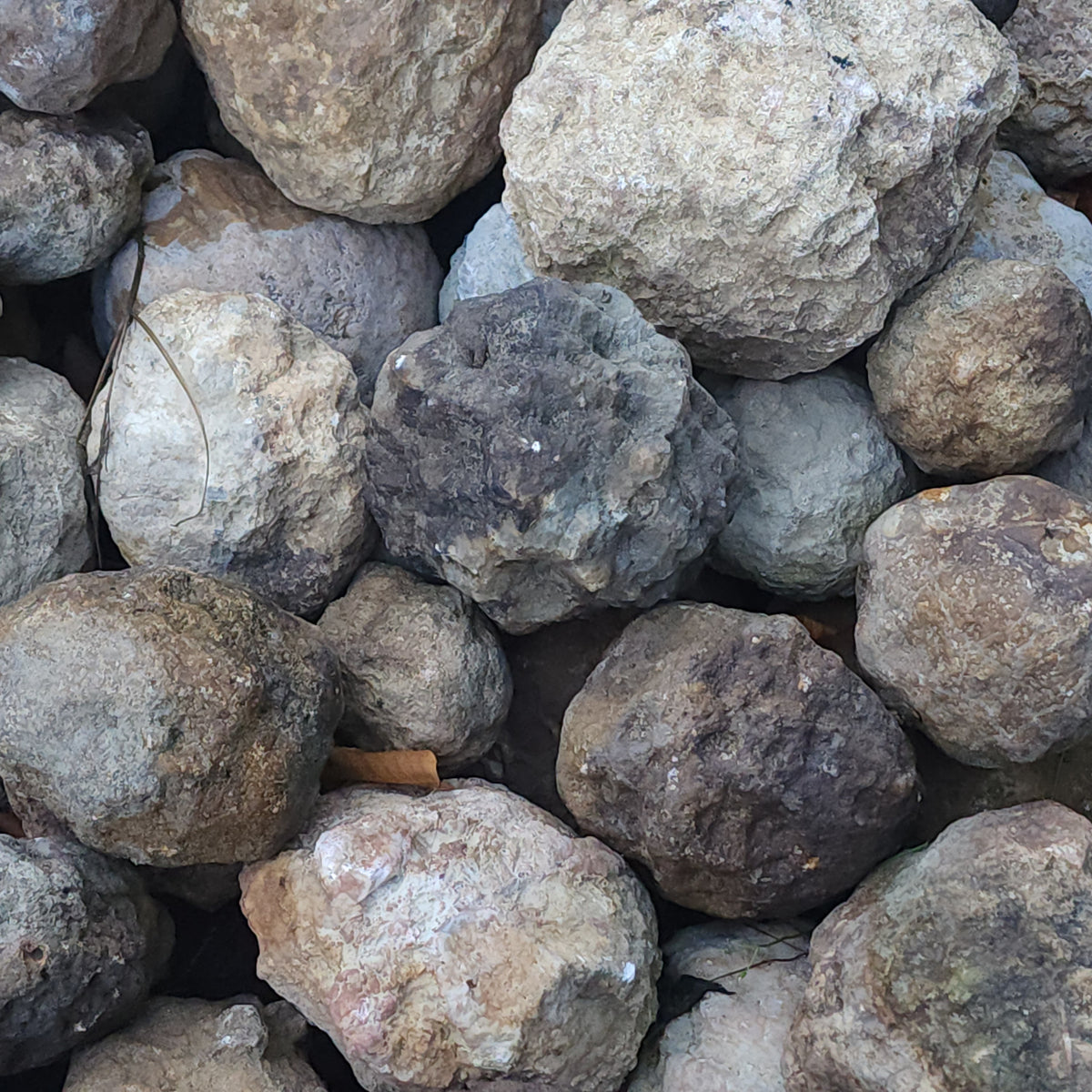 Medium Kentucky Geode — Buy 2 Get 1 FREE