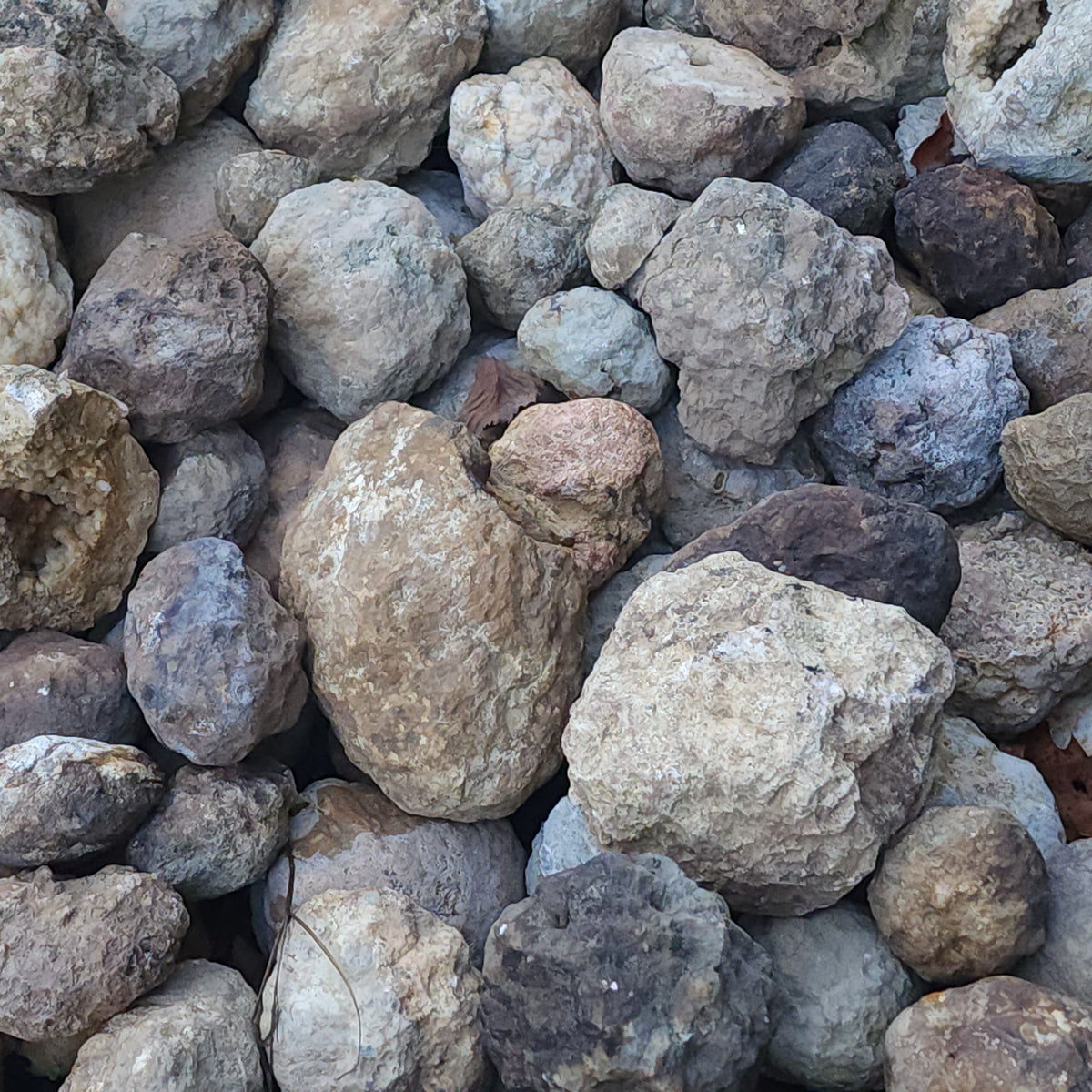 Medium Kentucky Geode — Buy 2 Get 1 FREE