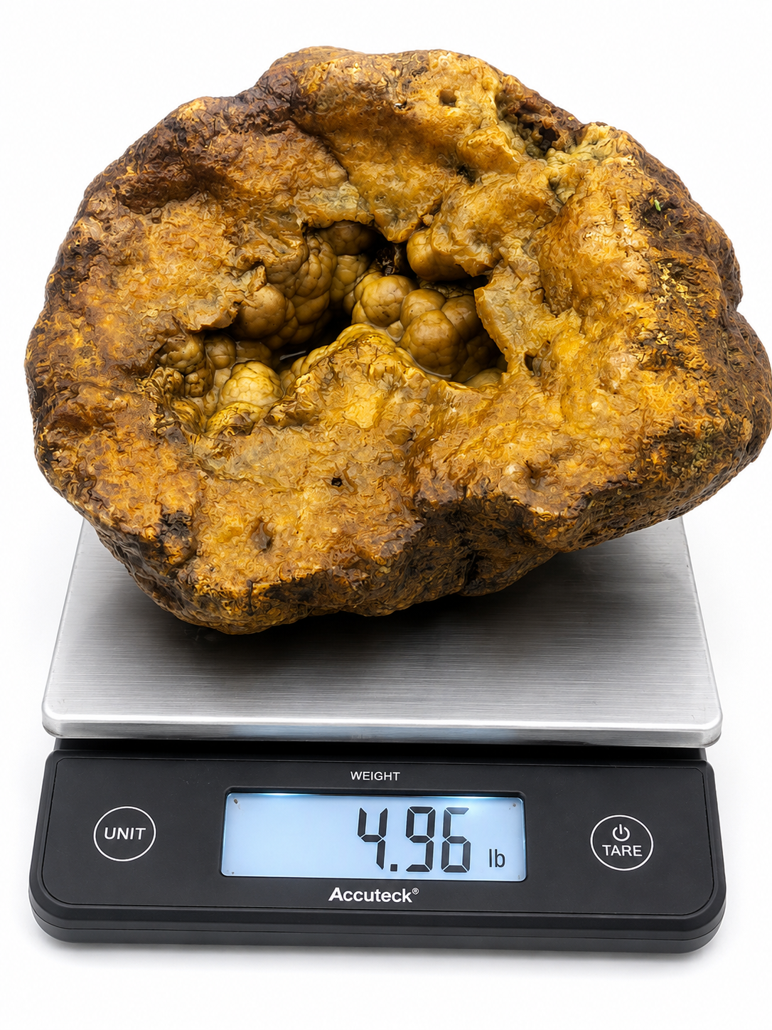 Large 4.96 lb Kentucky geode weighed on a scale, natural chalcedony crystal geode for sale