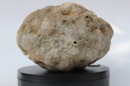 6lb Natural Kentucky Geode- Natural Solid Mineral Crystal Specimen