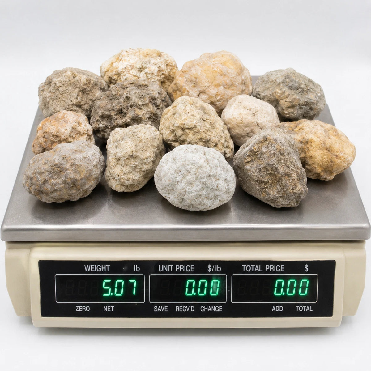 5 lb mixed-size Kentucky geode lot, hand-collected in Lincoln County, saw-scored for easy cracking.