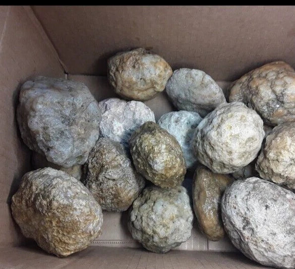 5 lb premium Kentucky geodes packed in shipping box
