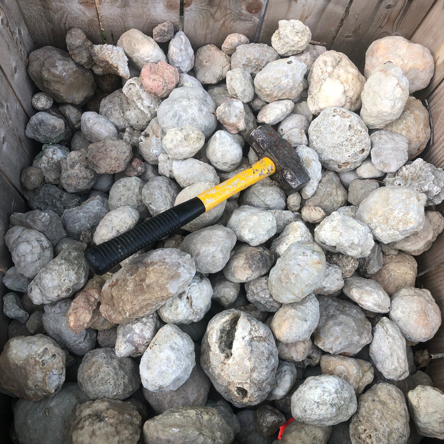 Kentucky Geodes 5 Pound Lot – Unopened Hand-Collected from Fishing Creek