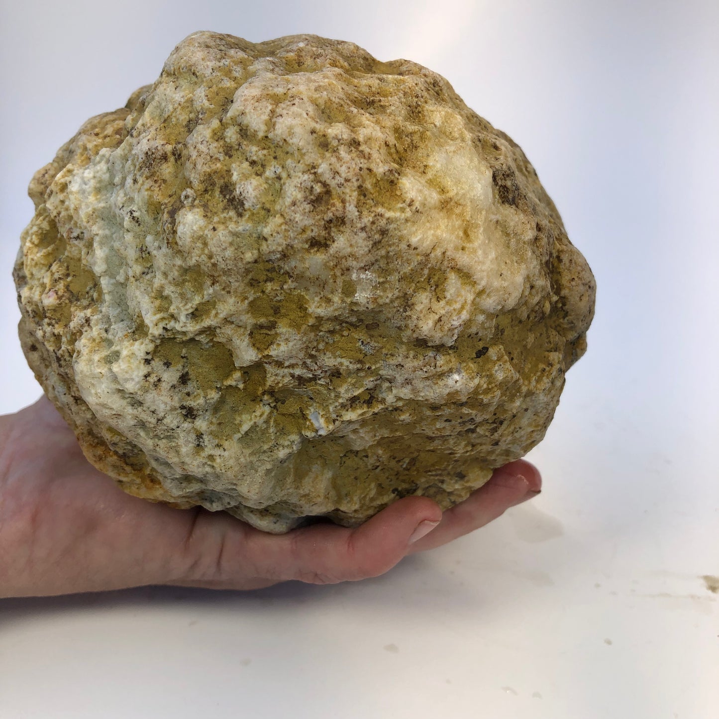 Natural Kentucky Geode - 5.65 lb Whole Collector Specimen