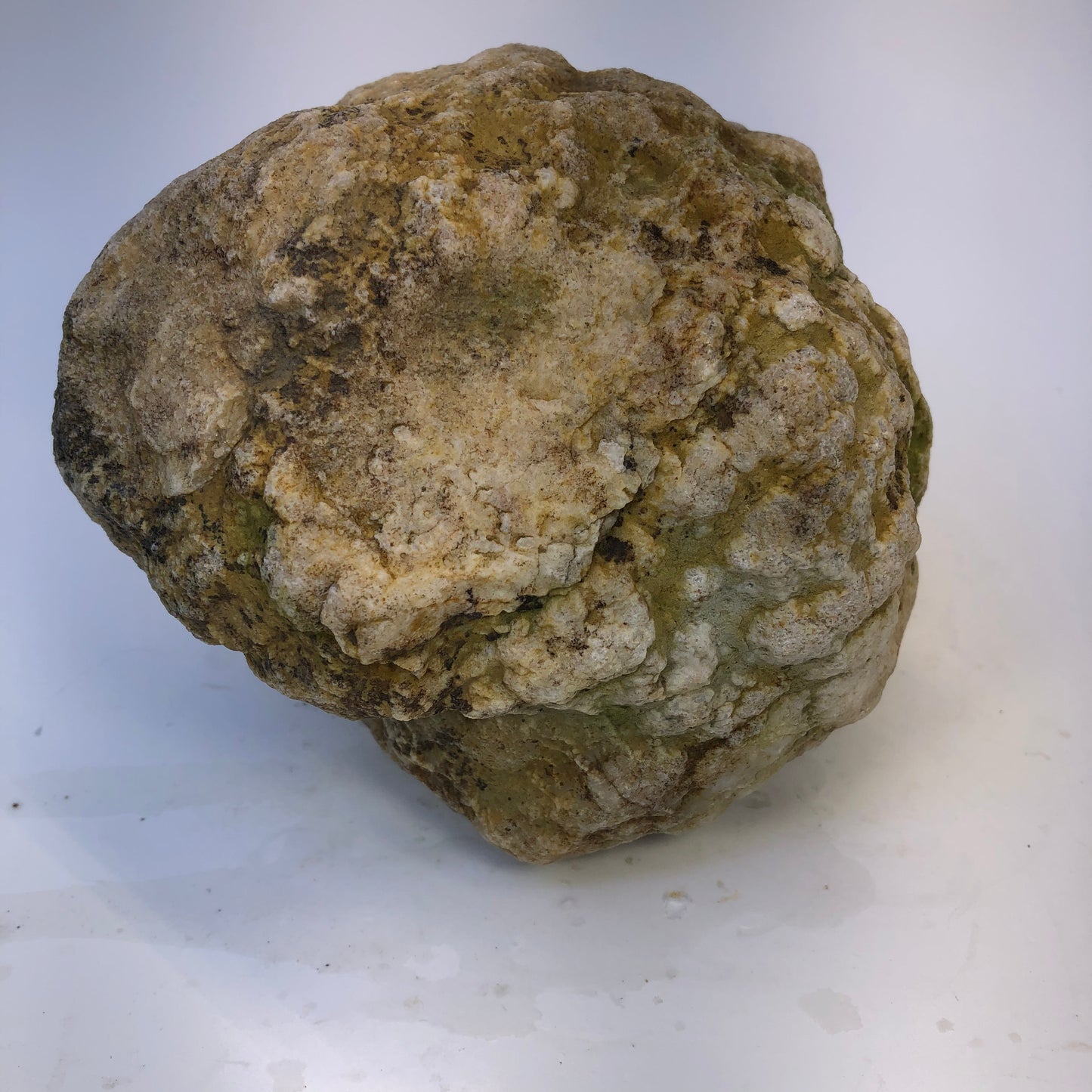Natural Kentucky Geode - 5.65 lb Whole Collector Specimen