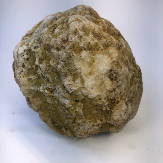 Natural Kentucky Geode - 5.65 lb Whole Collector Specimen
