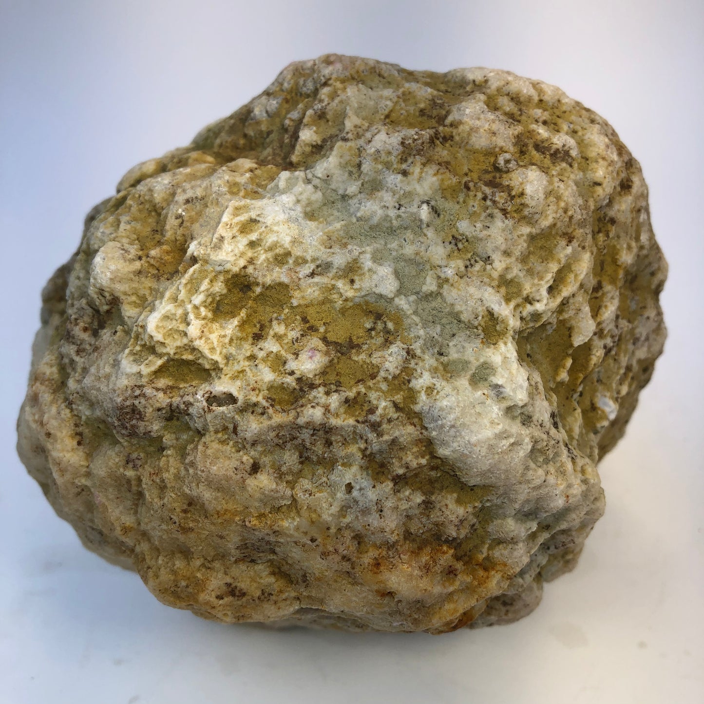 Natural Kentucky Geode - 5.65 lb Whole Collector Specimen