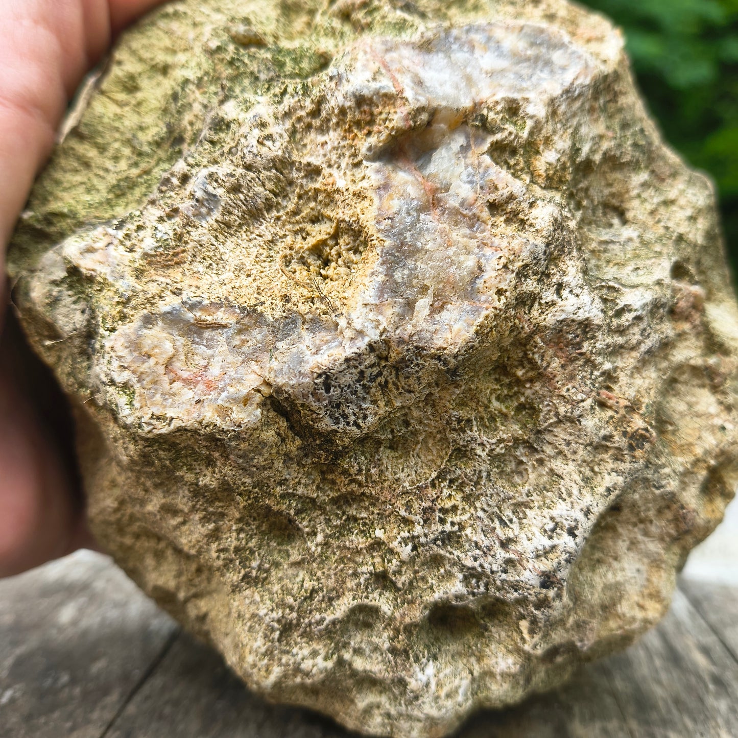 Unopened Kentucky Geode — 4.17 lb, 15" Circ, Bonus Mineral ID Card Included