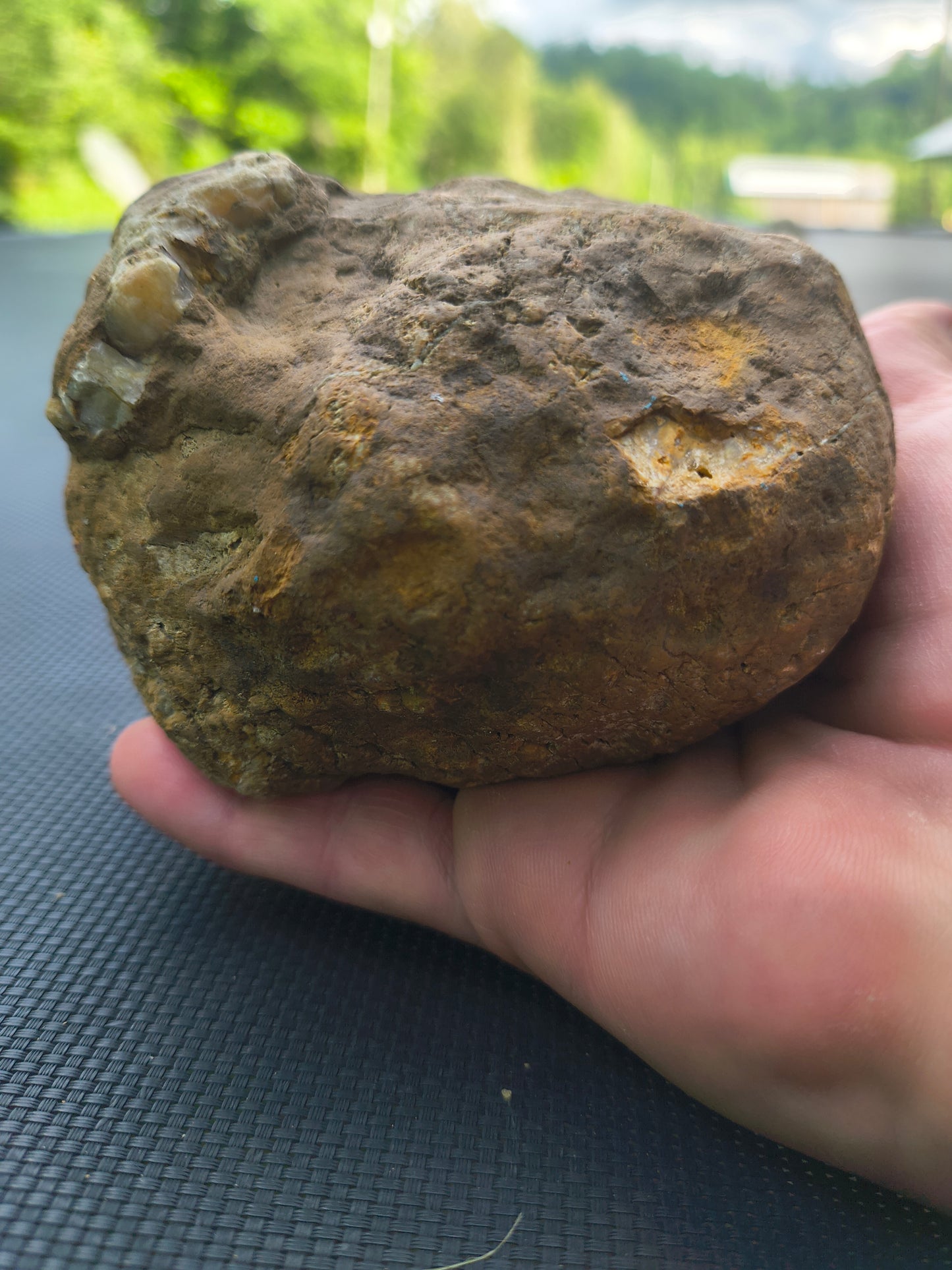Fishing Creek Rocks – 3 Large Kentucky Geodes – Pre-Scored Crack Your Own