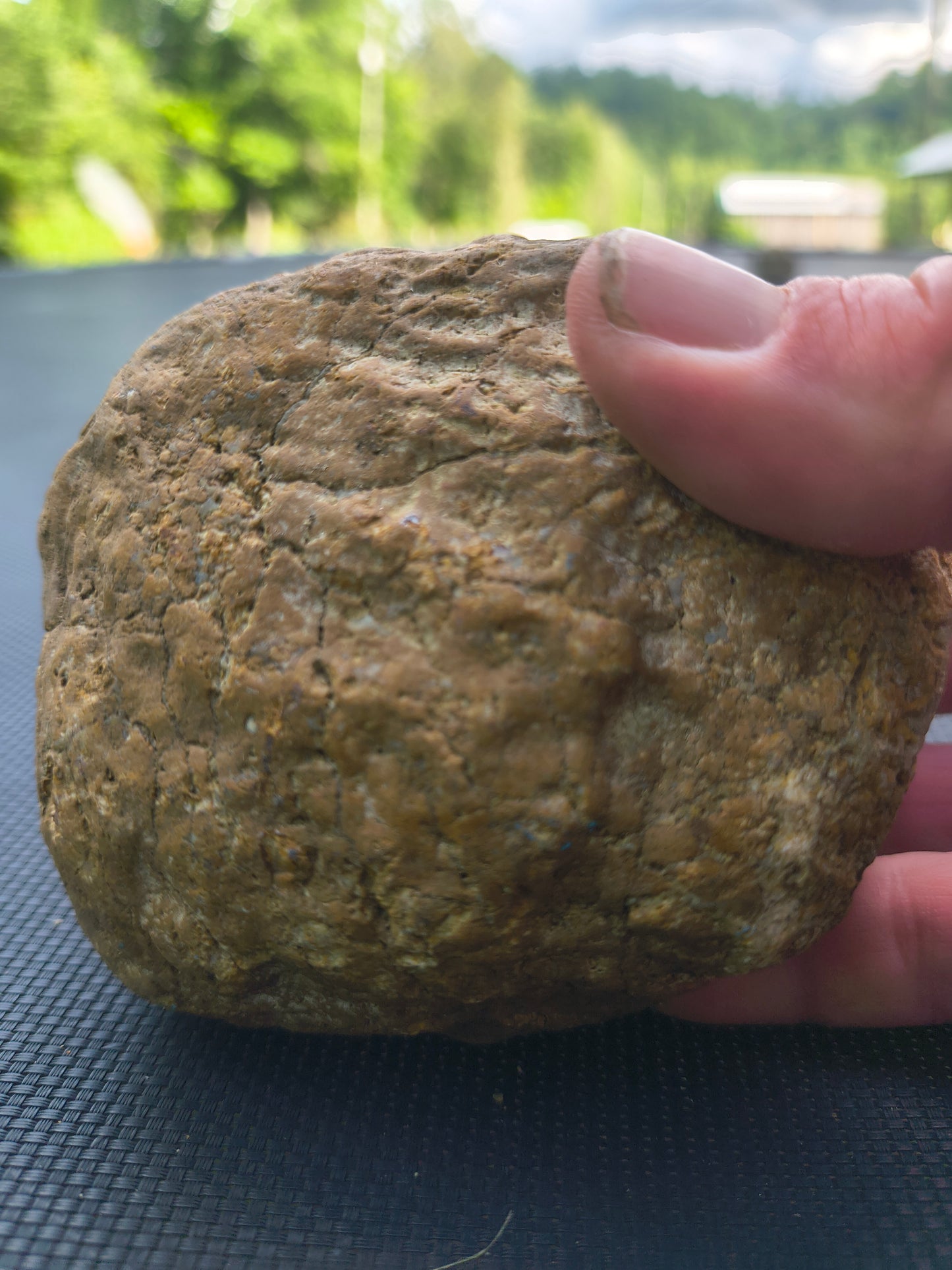 Fishing Creek Rocks – 3 Large Kentucky Geodes – Pre-Scored Crack Your Own