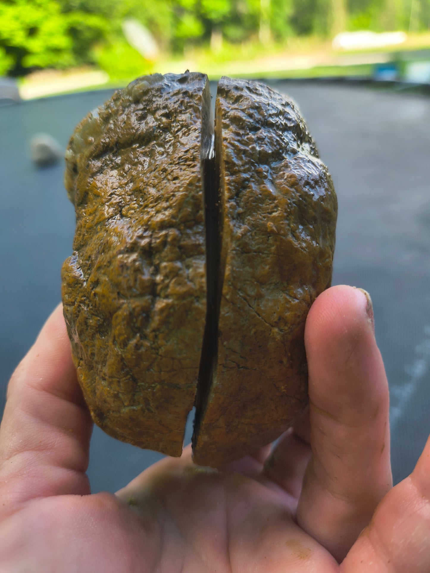 Fishing Creek Rocks – Clean Break Geodes – 5 lb Mixed Size Kentucky Geode Lot, TrueSplit Method