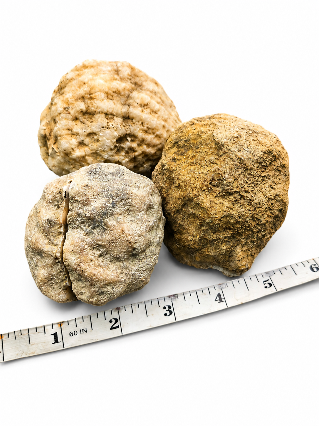 Fishing Creek Rocks – Clean Break Geodes – 5 lb Mixed Size Kentucky Geode Lot, TrueSplit Method