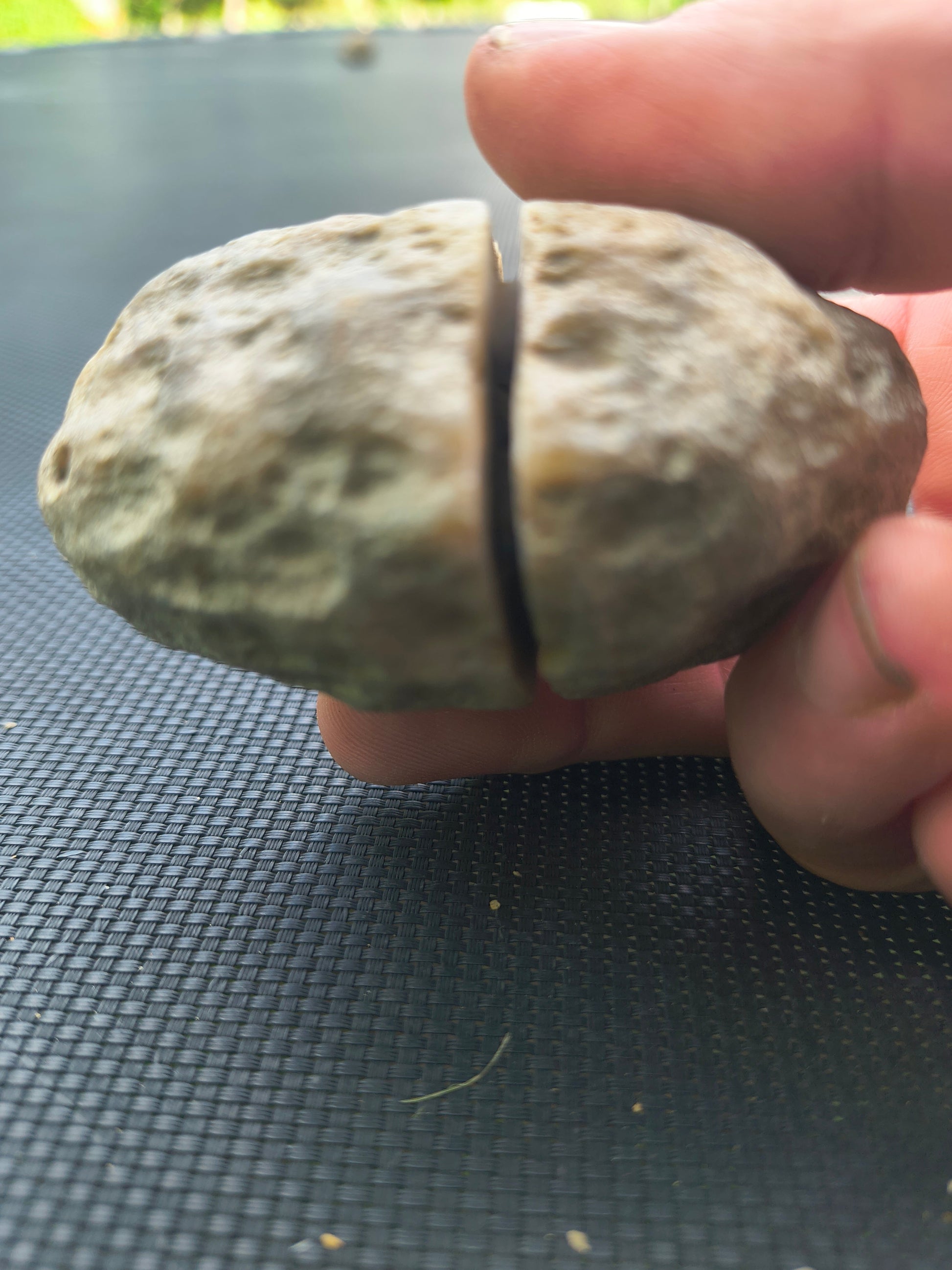 Whole Kentucky geode held in a hand for size reference, from a 5 lb easy-open crack-your-own geode lot