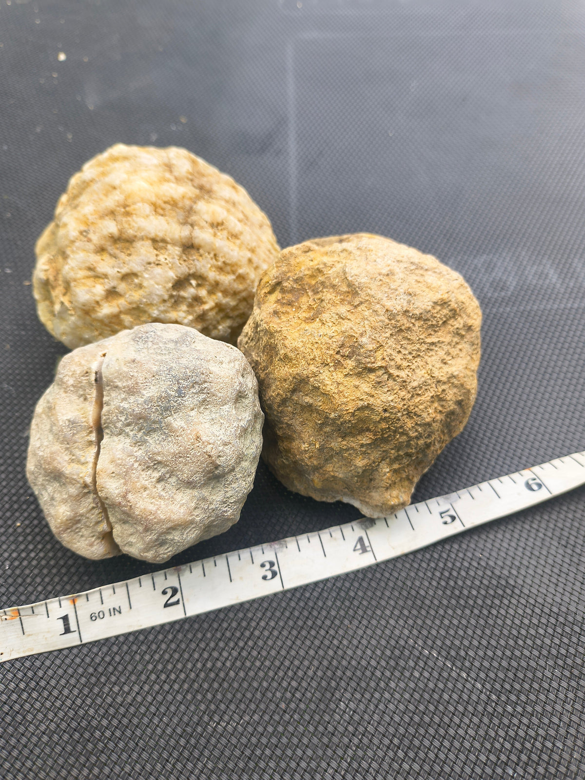 Several whole Kentucky geodes of mixed sizes shown with a tape measure for scale, from a 5 lb crack-your-own geode lot
