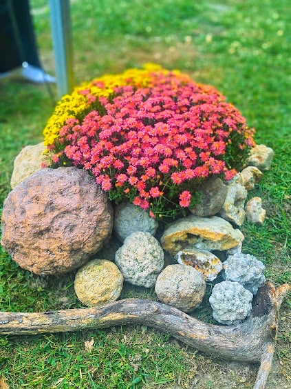 Kentucky Geodes Bulk Lots – Natural Unopened Geodes 1–30 lb