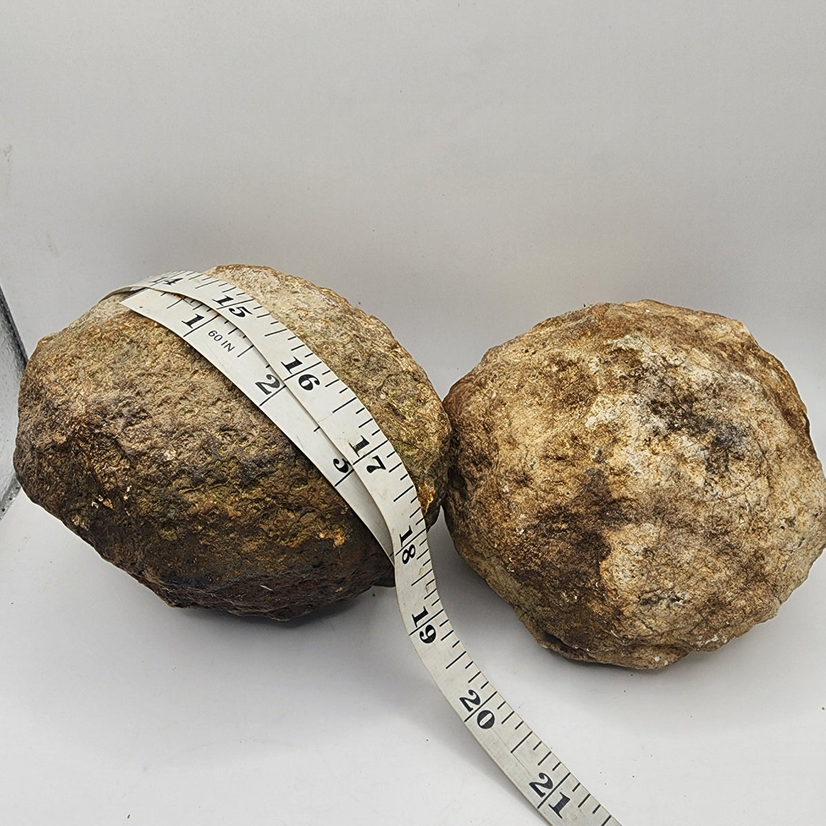Two medium Kentucky geodes with tape measure
