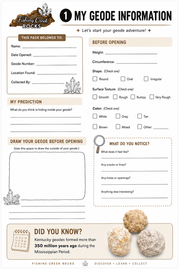 3-Pack Kentucky Geodes + Discovery Booklet
