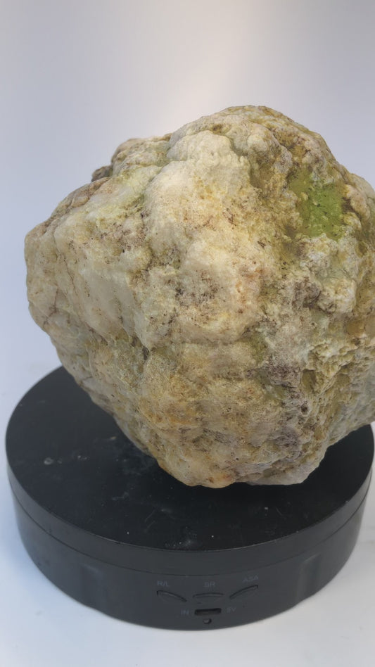 5.65 lb Unopened Kentucky Geode – Thick-Shell, Display-Grade – Crack Your Own – Fishing Creek, KY
