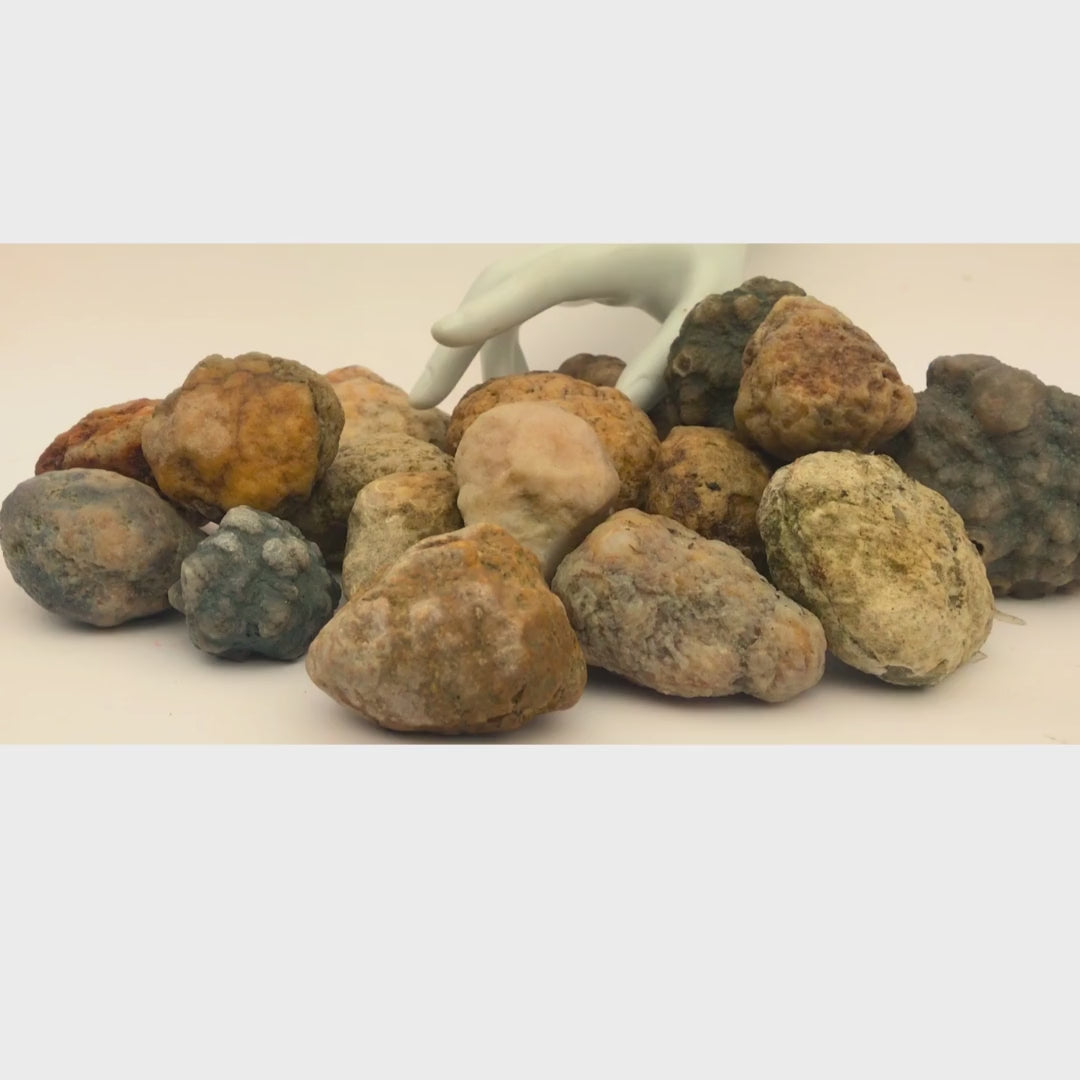 Load video: Real Kentucky geodes small with white hand for scale 
