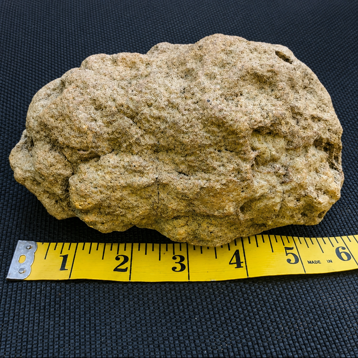 Natural Kentucky Geode  4.88 lb Whole Unopened Exact Specimen