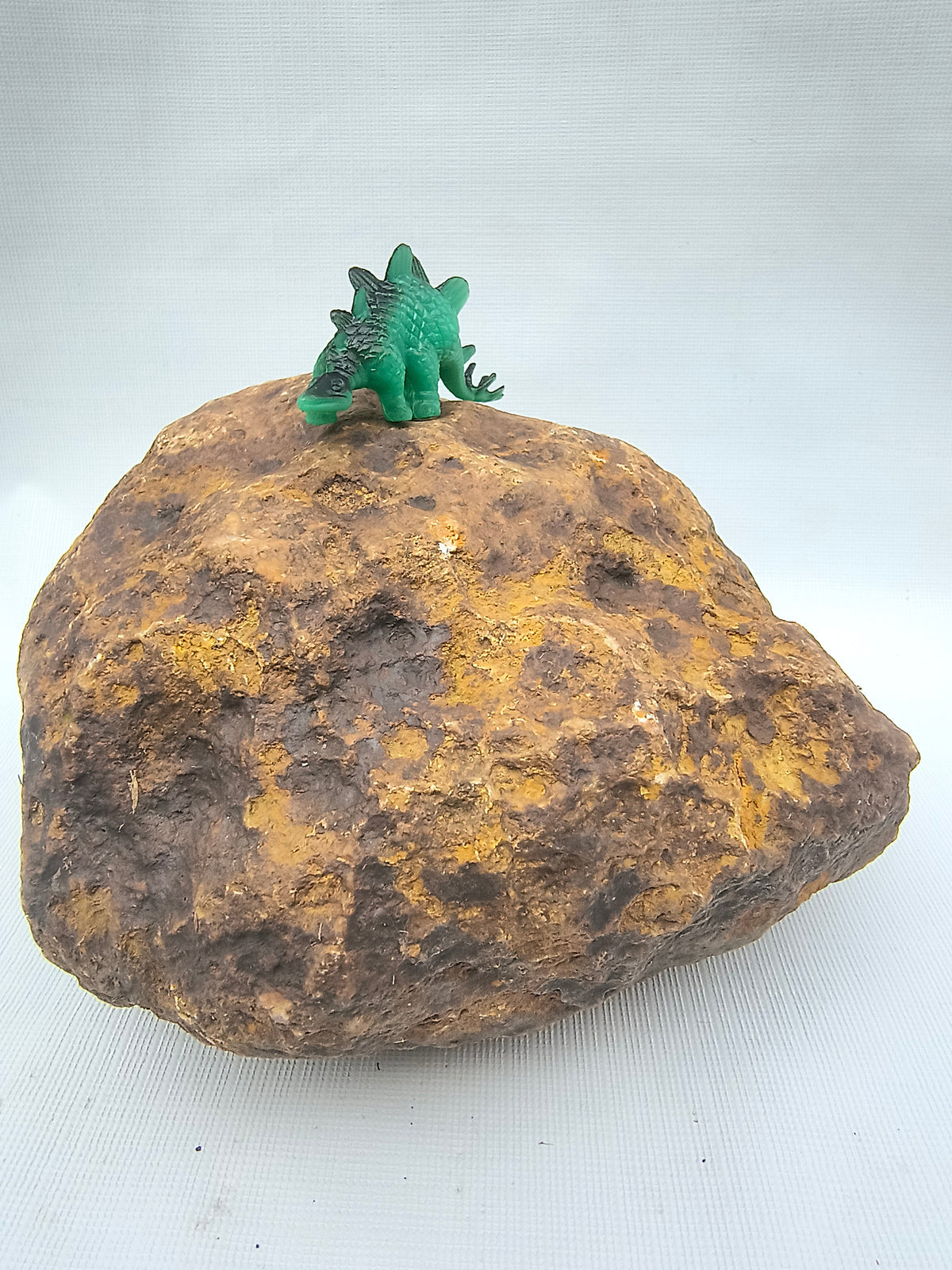 5.88 lb Unopened Kentucky Geode – Brown, Bonus Dinosaur Figure – Crack Your Own – Fishing Creek, KY