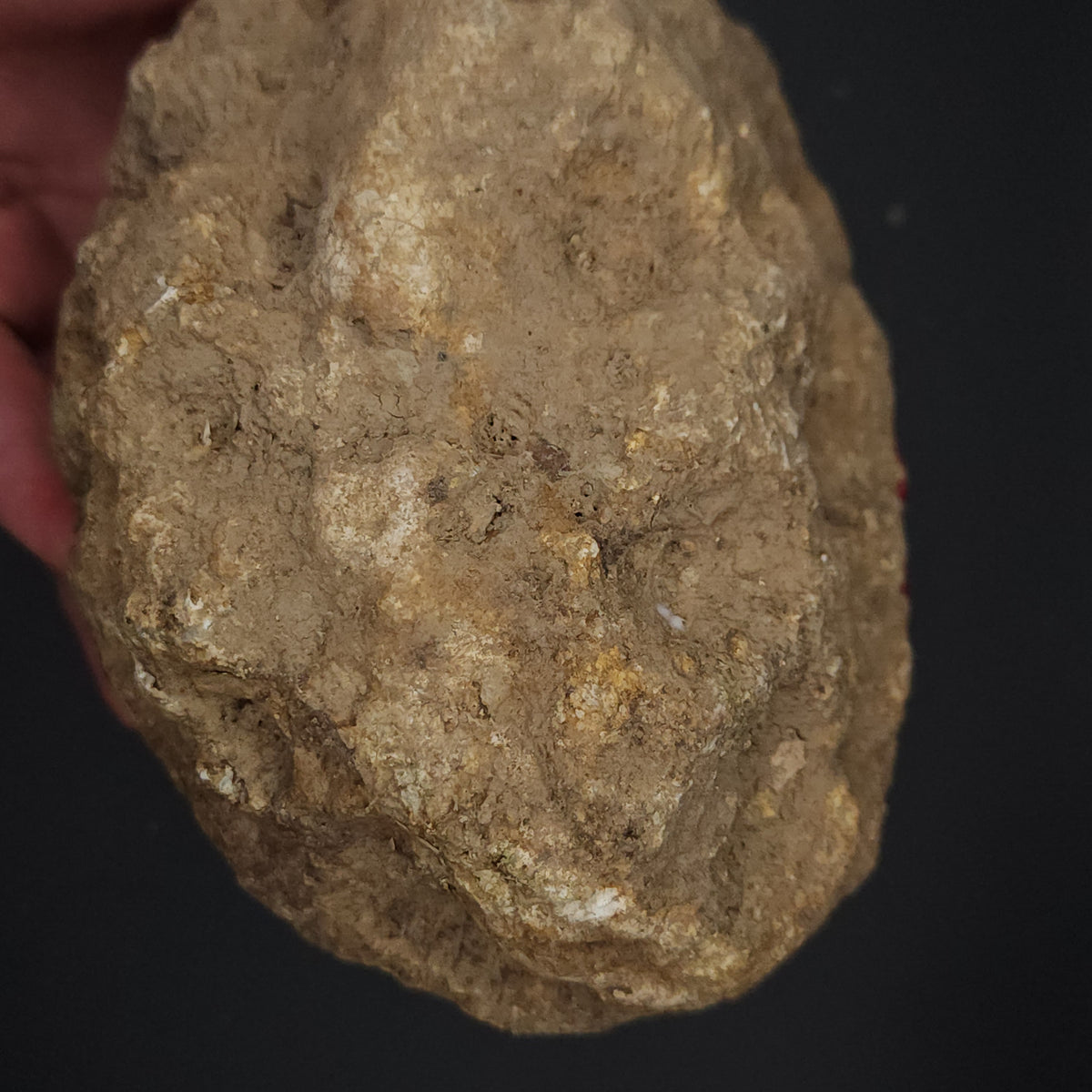 4.60 LB Whole Unopened Kentucky Geode [10-13-26-02]