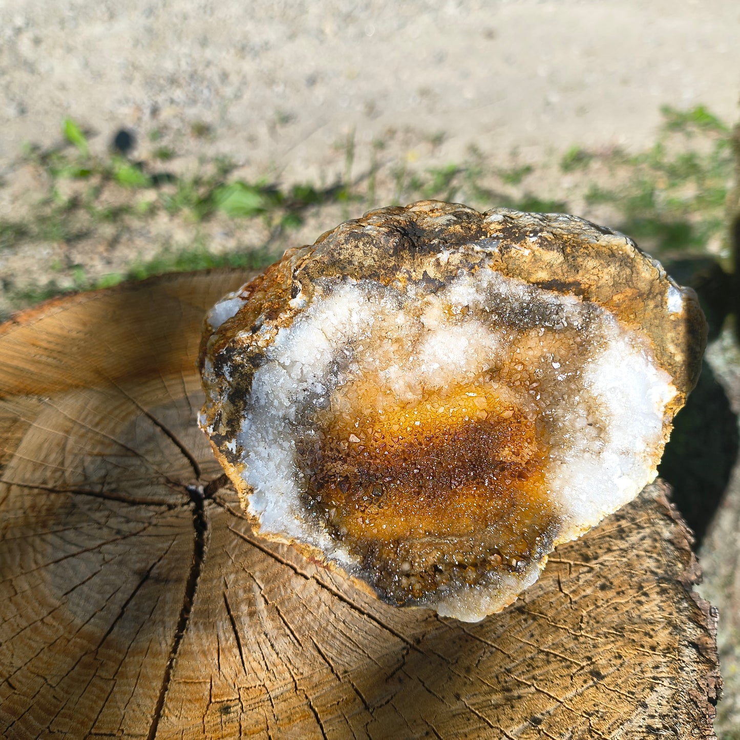 Timeless Secrets Kentucky Geode – Cracked Pair 6.32 lb