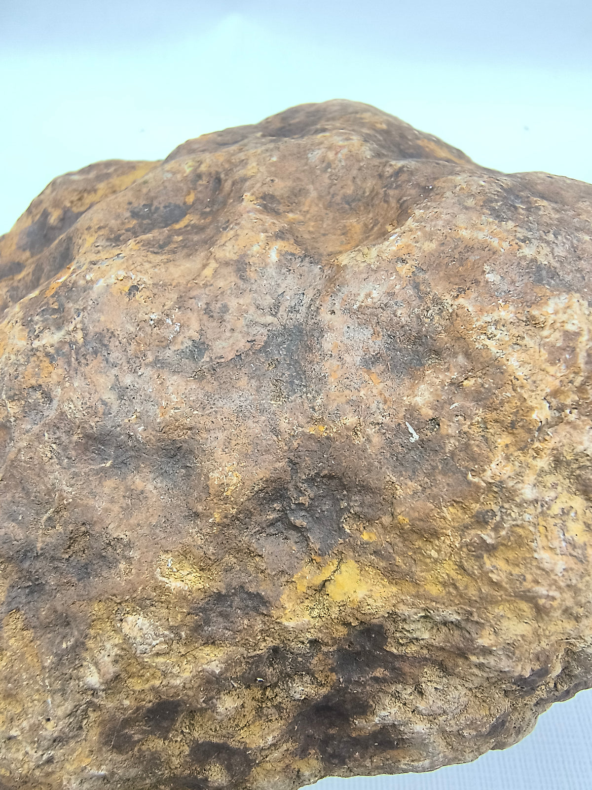 5.88 lb Unopened Kentucky Geode – Brown, Bonus Dinosaur Figure – Crack Your Own – Fishing Creek, KY