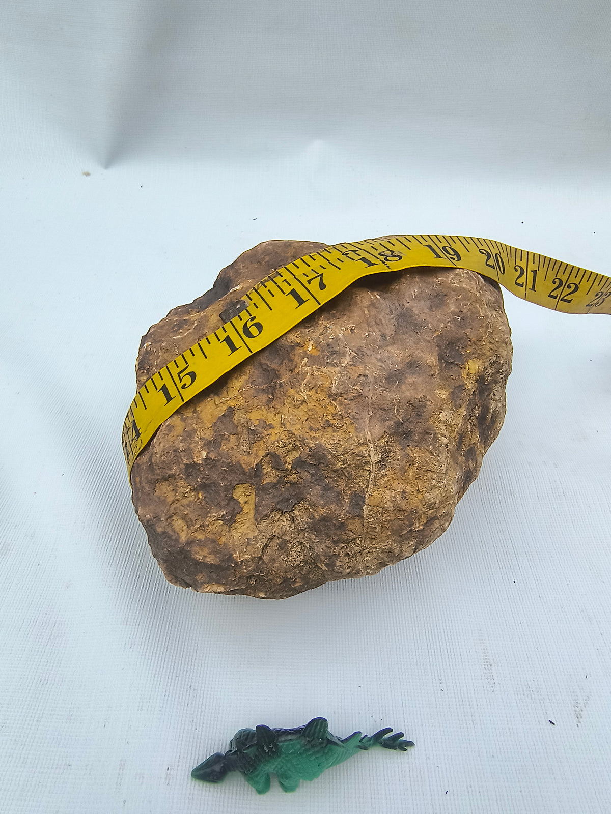 5.88 lb Unopened Kentucky Geode – Brown, Bonus Dinosaur Figure – Crack Your Own – Fishing Creek, KY