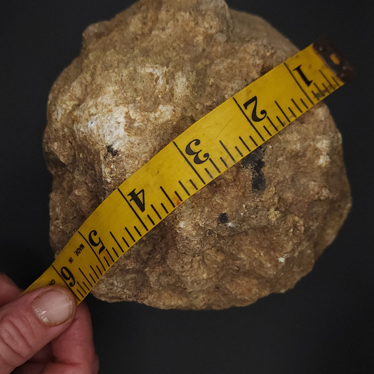 4.60 LB Whole Unopened Kentucky Geode [10-13-26-02]