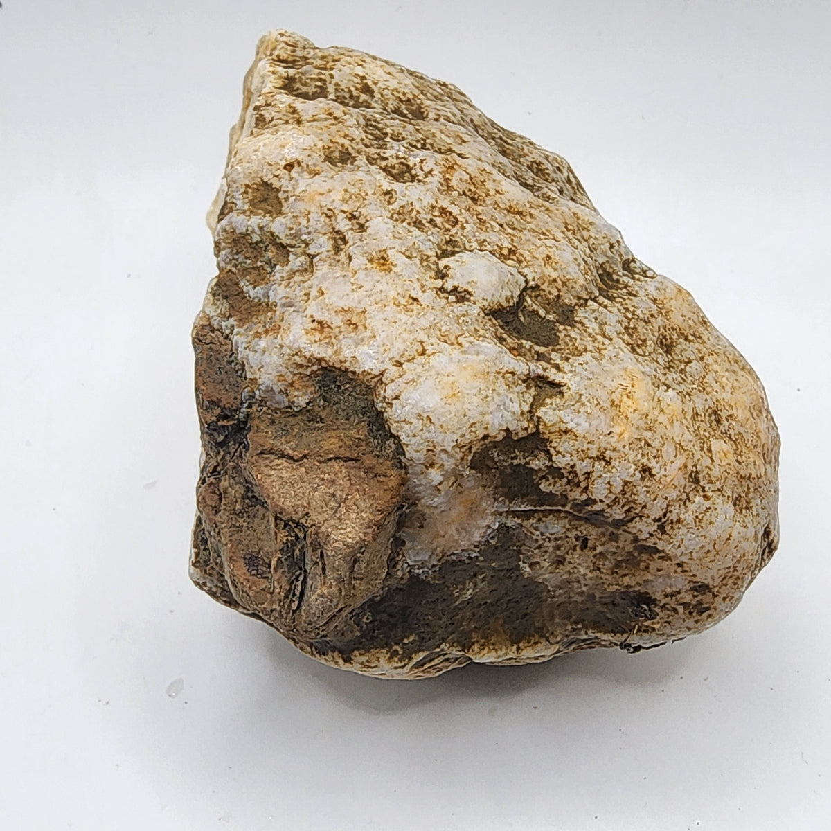 Natural Kentucky Quartz Geode Half - Smoky Crystal Points - Hand Collected