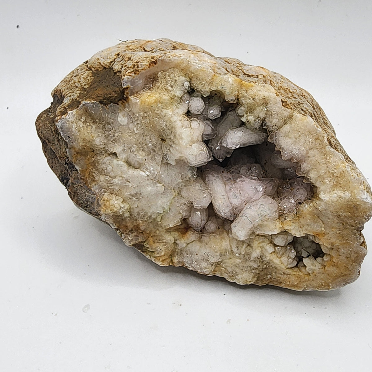 Natural Kentucky Quartz Geode Half - Smoky Crystal Points - Hand Collected