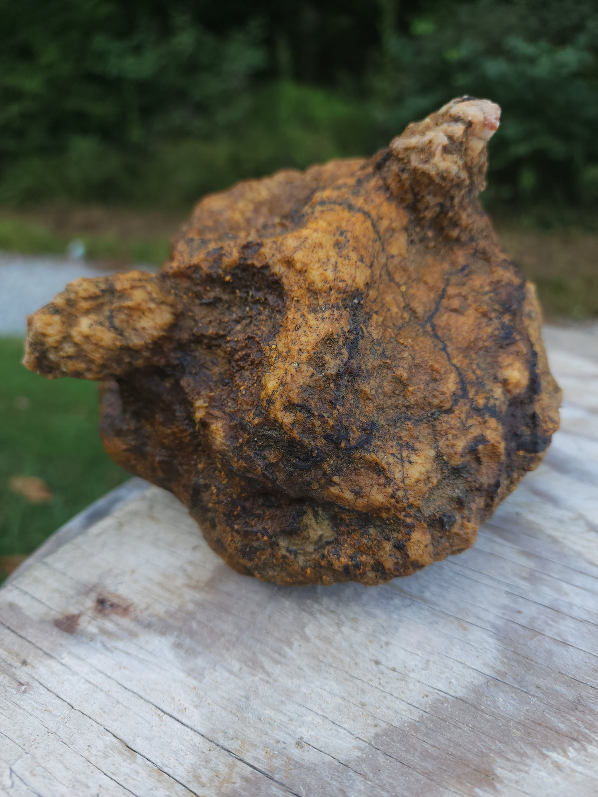 6.74 lb Kentucky Rattler Geode - Large Whole Unopened Hollow Crystals Rock