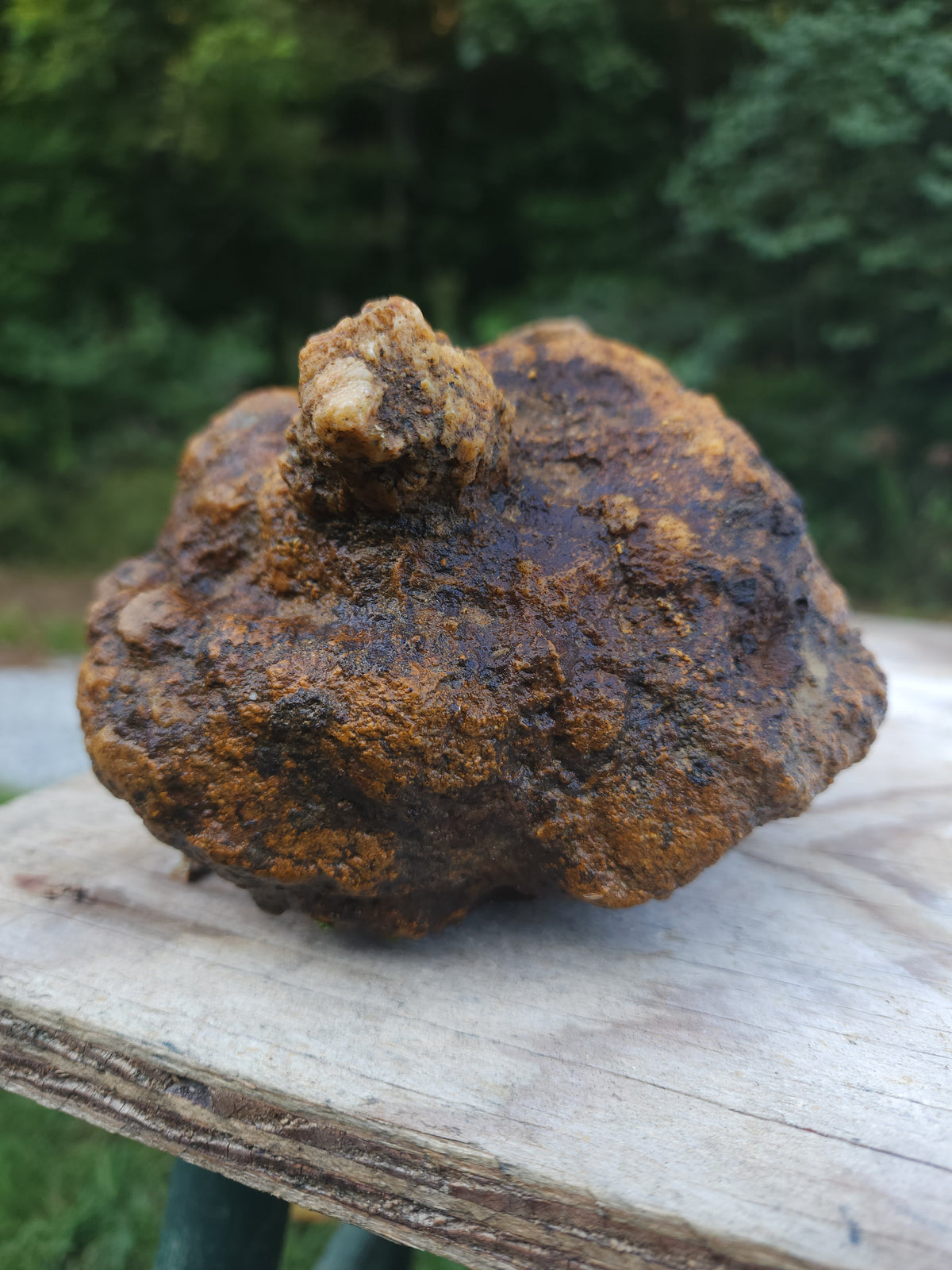 6.74 lb Kentucky Rattler Geode - Large Whole Unopened Hollow Crystals Rock